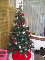 kerst en vuurwerk 047 (2).jpg