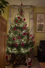 Kerstboom pica 1 (10 van 14).jpg