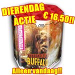 RVW 620 Thunderous Buffalo dierendag.jpg