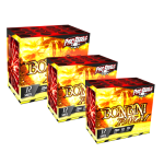 bombini-palm-31[1].png