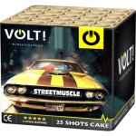 streetmuscle_vwtotaal.jpg