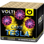 TESLA2.png