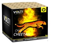 Cheetah cake.jpg