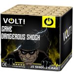 dangerousshockcake.jpg