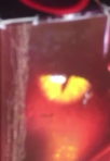 Foto vwc.png