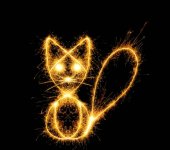 Katten-en-vuurwerk-1024x909.jpg