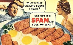 spam.jpg