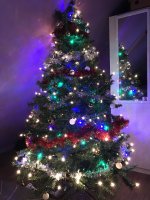 IMG_0029.jpg