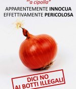 botti_illegali_campagna_napoli.jpg