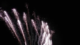 S1080573.jpg