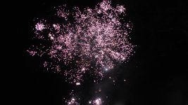 S1080578.jpg