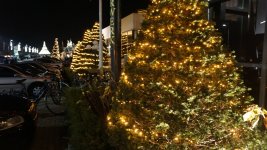 DSC03307.jpg