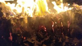 IMG_20170101_010541.jpg