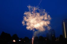 DSC_3271.jpg