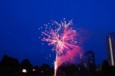 DSC_3305.jpg