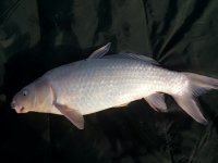 20150510_191046.jpg