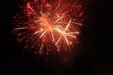 IMG_8291.jpg