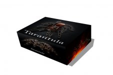 Tarantula.jpg