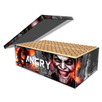 1072-ANGRYDIRECTOR.png