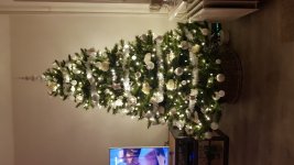 20171128_225931.jpg