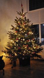 IMG_20171204_182823.jpg