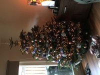 IMG_6296.jpg
