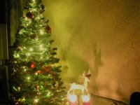 kerst 2017.jpg