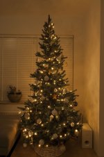 Kerstboom.jpg