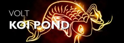 koi pond.jpg
