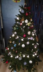 IMG_20171208_223628.jpg