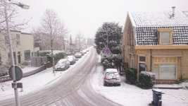 DSC_0022.jpg