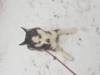 20171210_110040.jpg