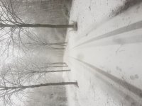 20171210_111155.jpg