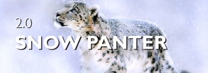 Snowpanter 2.jpg