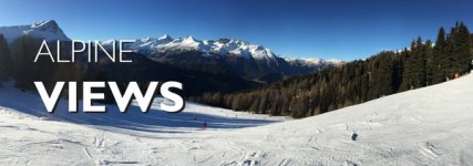 AlpineViewsVWC.jpg
