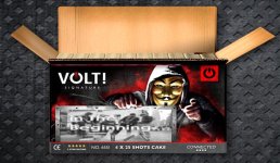 Volt actie 21a.JPG