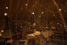IMG_1529 (Kopie).jpg