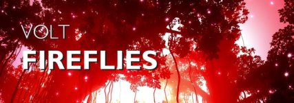 fireflies.jpg