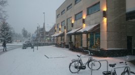 DSC_0049.jpg