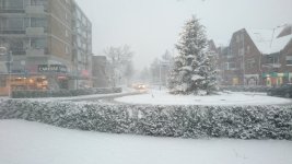DSC_0055.jpg