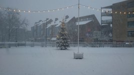 DSC_0058.jpg