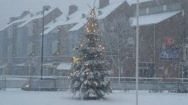 DSC_0060.jpg
