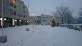 DSC_0067.jpg