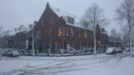 DSC_0084.jpg