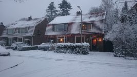 DSC_0095.jpg