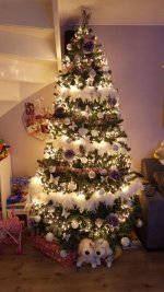 IMG-20171218-WA0050.jpg