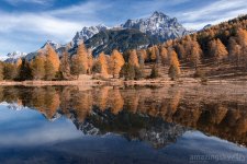 scuol1.jpg