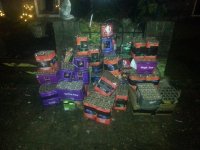 20130101_004329.jpg