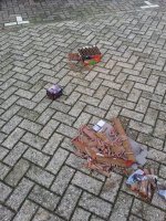 20130101_132333.jpg