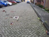 20130101_132418.jpg